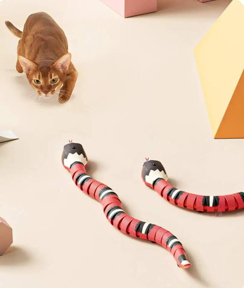 Cobra de Brinquedo Inteligente para Gatos (USB) - Outlet Popular